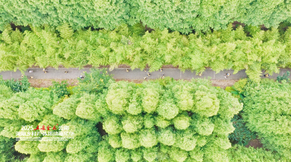 名运动员冲, img