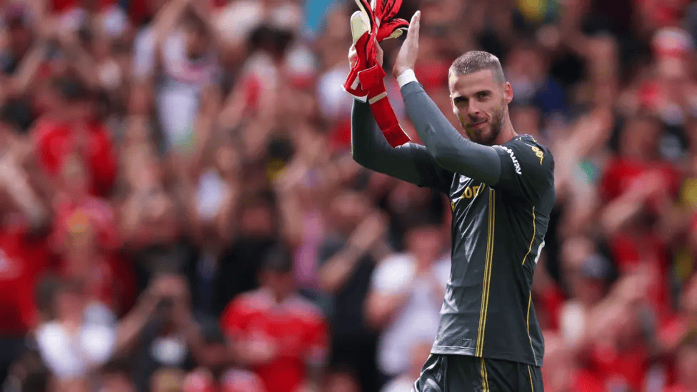 曾得到的告, 希望今年