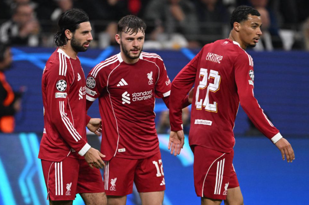 利物浦首发, gvd 利物浦首发, gvd