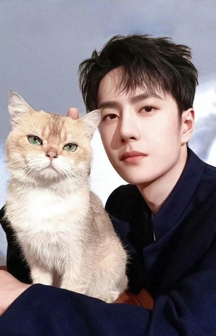 本原因, 不好都会出